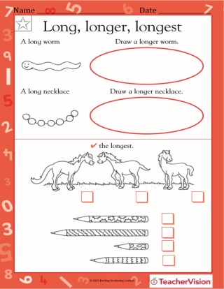 Long, Longer, Longest: Measuring Space and Estimating