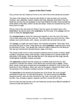 Layers of the Rain Forest Worksheets