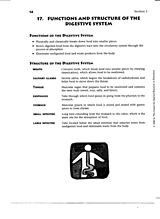 Functions and Structure of the Digestive System