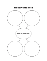What Plants Need