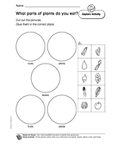 What Parts of Plants Do You Eat?