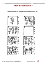 How Many Flowers?