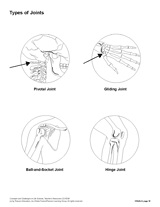 Types of Joints