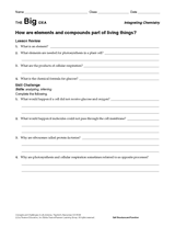 How Are Elements and Compounds a Part of Living Things?