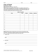 Activity: Uses of Plants