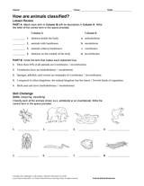 How Are Animals Classified?