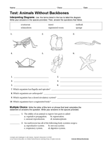 Life Science Test: Animals Without Backbones