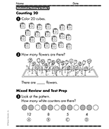 Color the Cubes: Counting 20